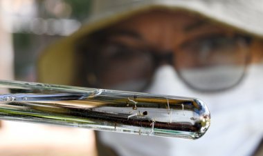 TIRA-DÚVIDAS: "Vivemos a maior epidemia de Dengue da história do país"